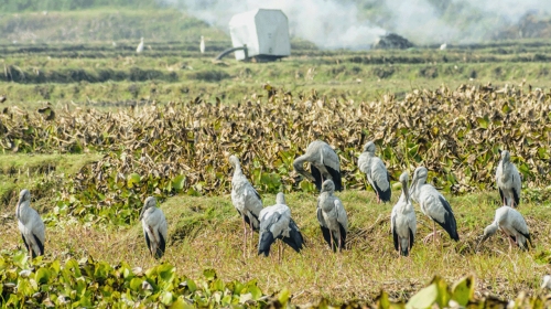 FeedingAHealthierEnvironment-1280x720